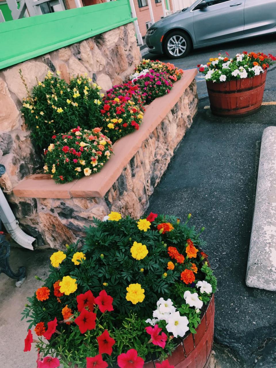 Value Lodge Inn Дельта Экстерьер фото
